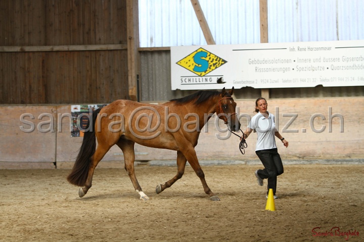 24-ApHC HIH_086.jpg